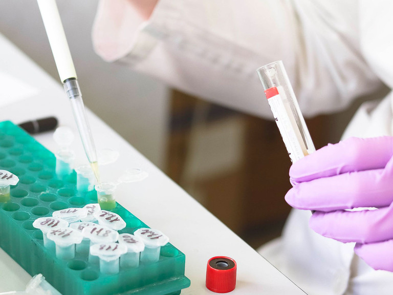 Komplette Laboranalyse